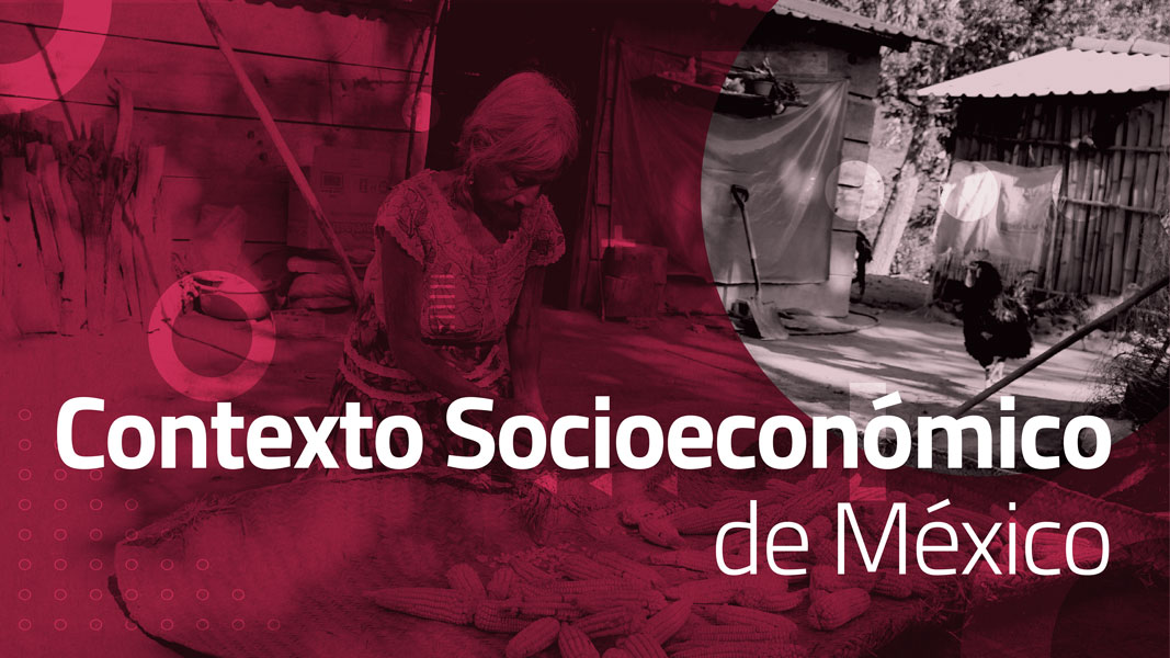 Contexto Socioeconómico de México: Principios Básicos