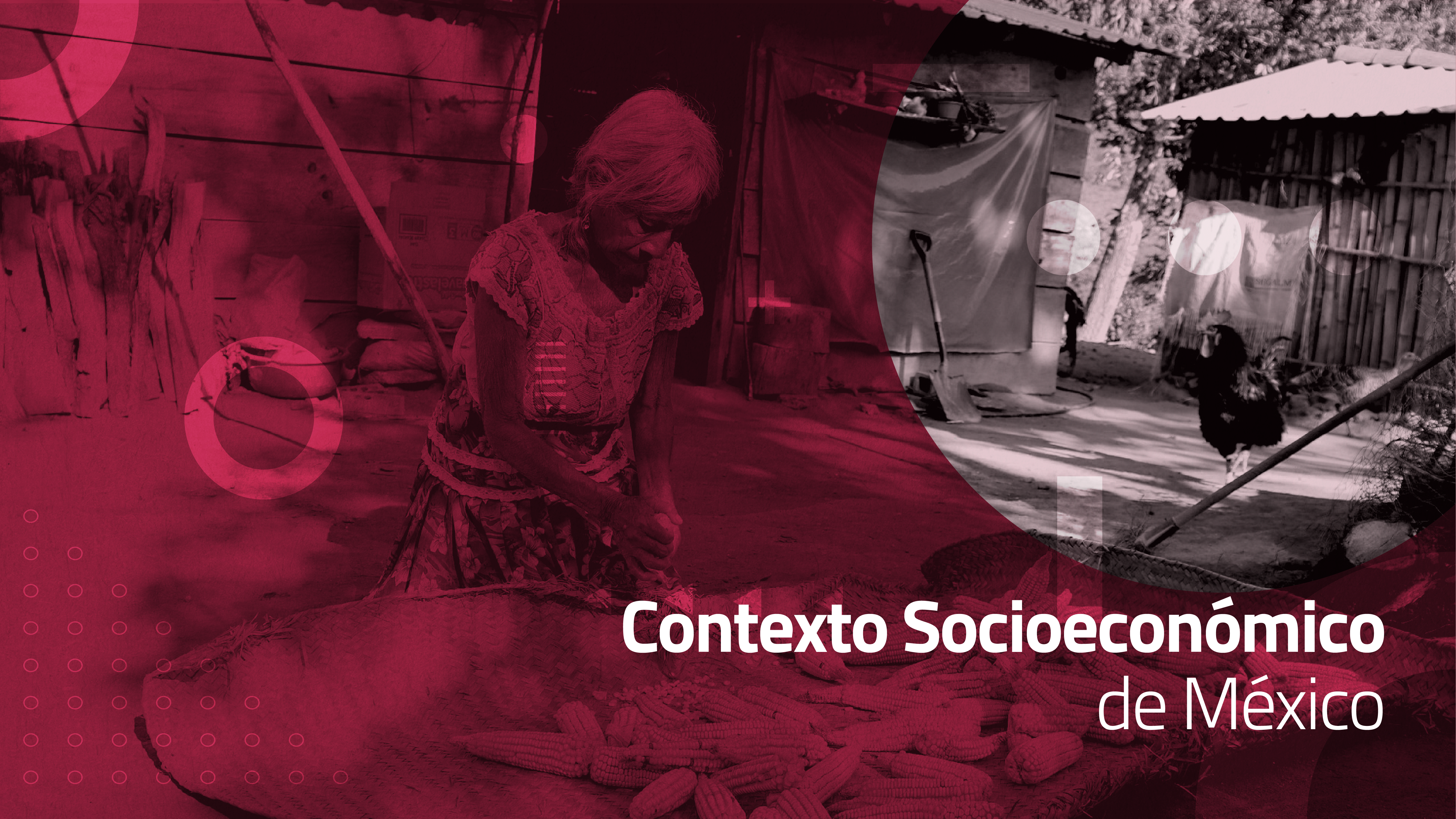 Course Image Contexto Socioeconómico de México: Principios Básicos